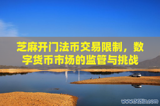 芝麻开门法币交易限制，数字货币市场的监管与挑战